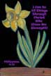 Daffodil scripture art postcard by Angela Young