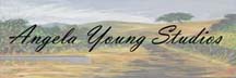Logo for Angela Young Studios